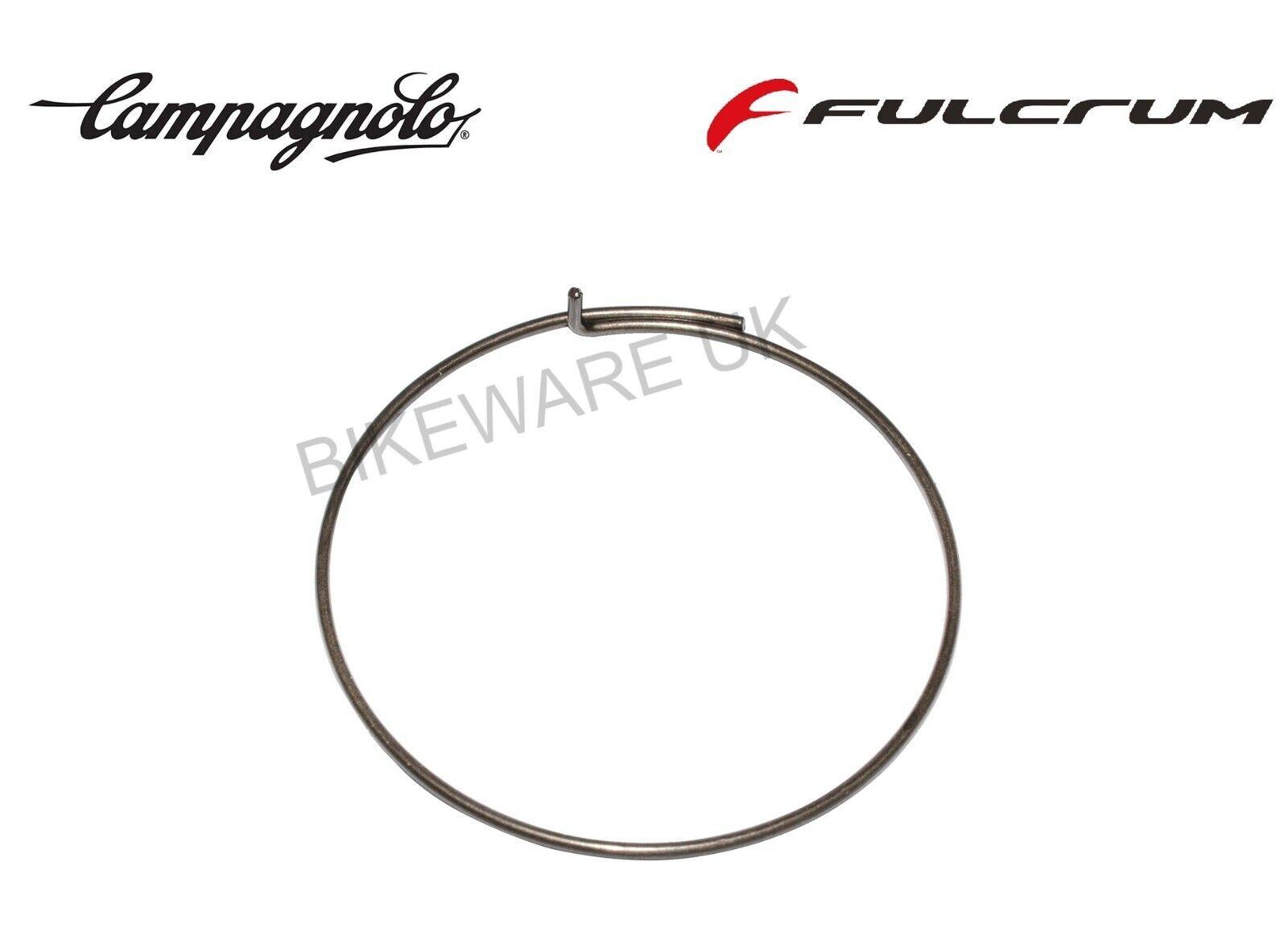 Genuine Campagnolo / Fulcrum Freehub Pawl Spring FH-RE114